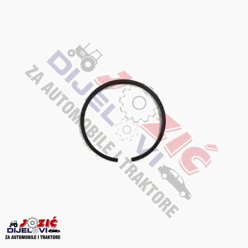 Daisy on the Ohoopee